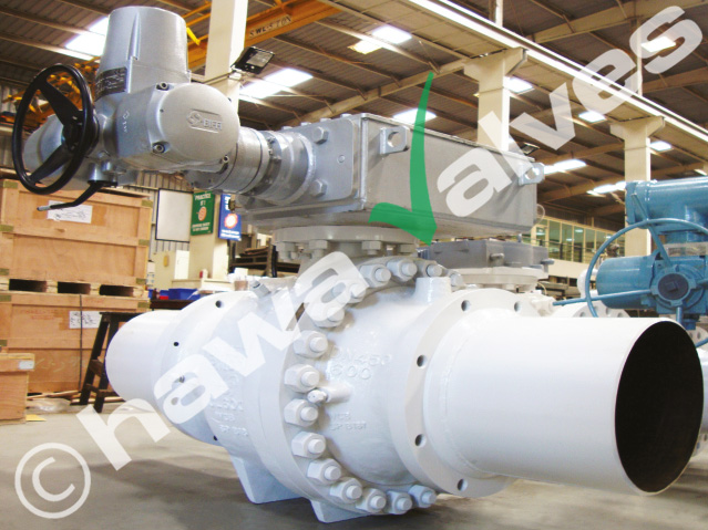 trunnion-mounted-shell-gsi-tat-qualified trunnion-mounted-shell-gsi-tat-qualified