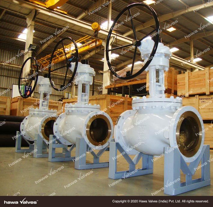 Globe Valves-Hawa Valves manufacturers in india